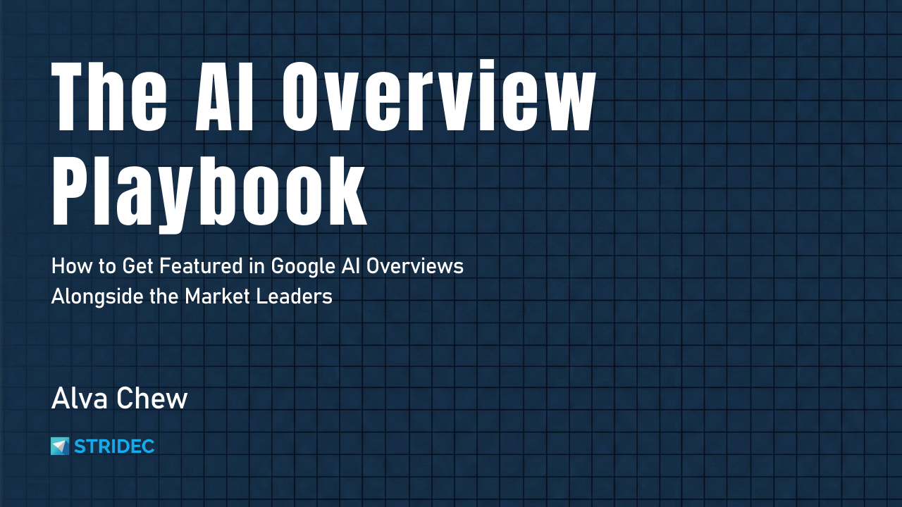 The AI Overview Playbook - Main product screenshot demonstrating key features and user interface