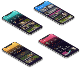 Woofbuzz gallery image