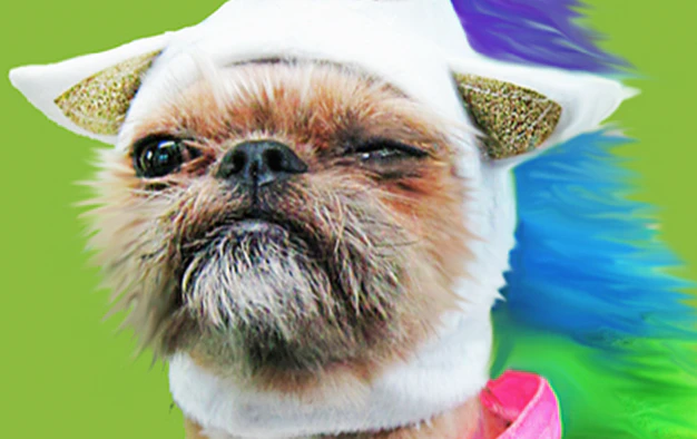 Growth Hacking Experiments Template