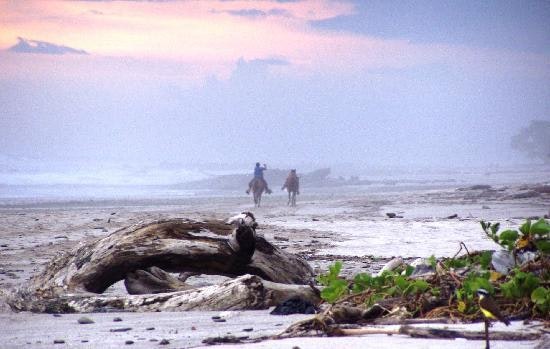 Travel with Makers gallery image