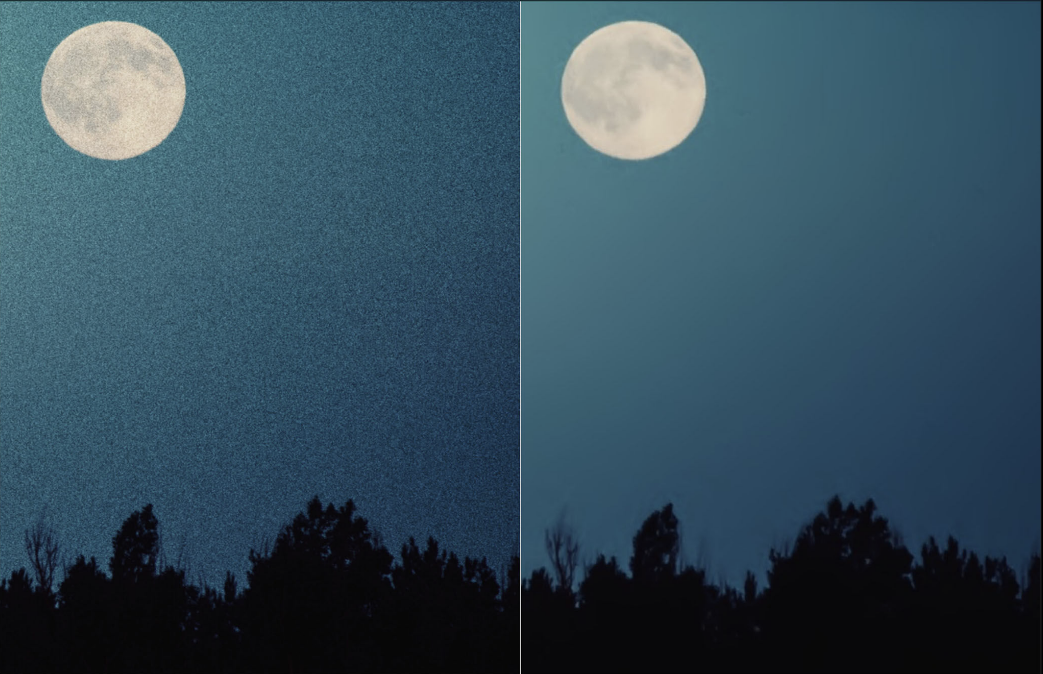 CleanPics gallery image