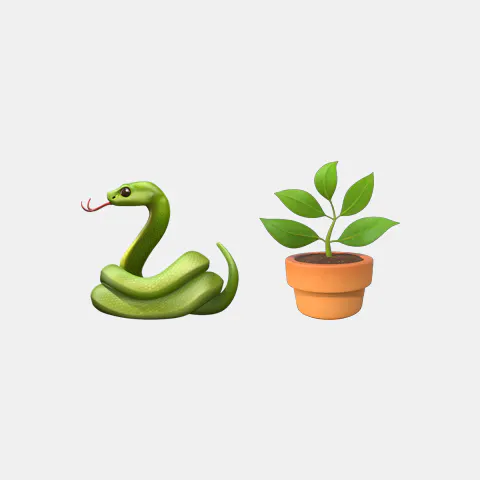 Snakeplant