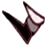 RunPact