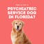 Psychiatric Service Dog Letter Florida