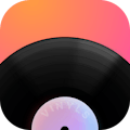 Vinyls