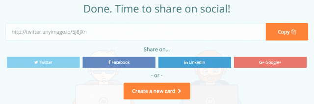 Any Image gallery image