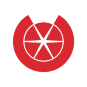 PICITY VIỆT NAM logo