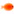Goldfish