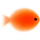 Goldfish