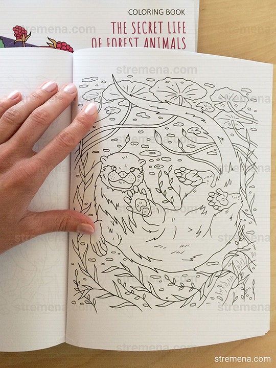 The Secret Life of Forest Animals gallery image