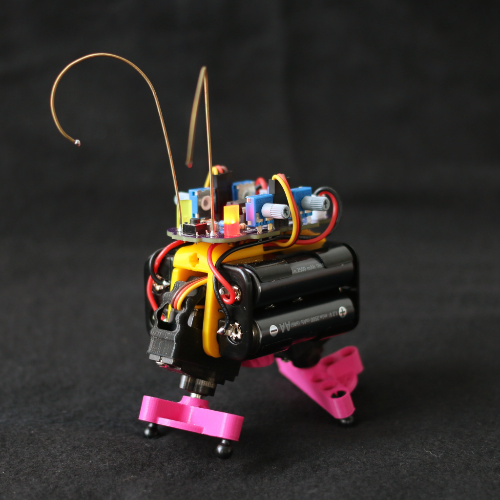 Bakiwi gallery image