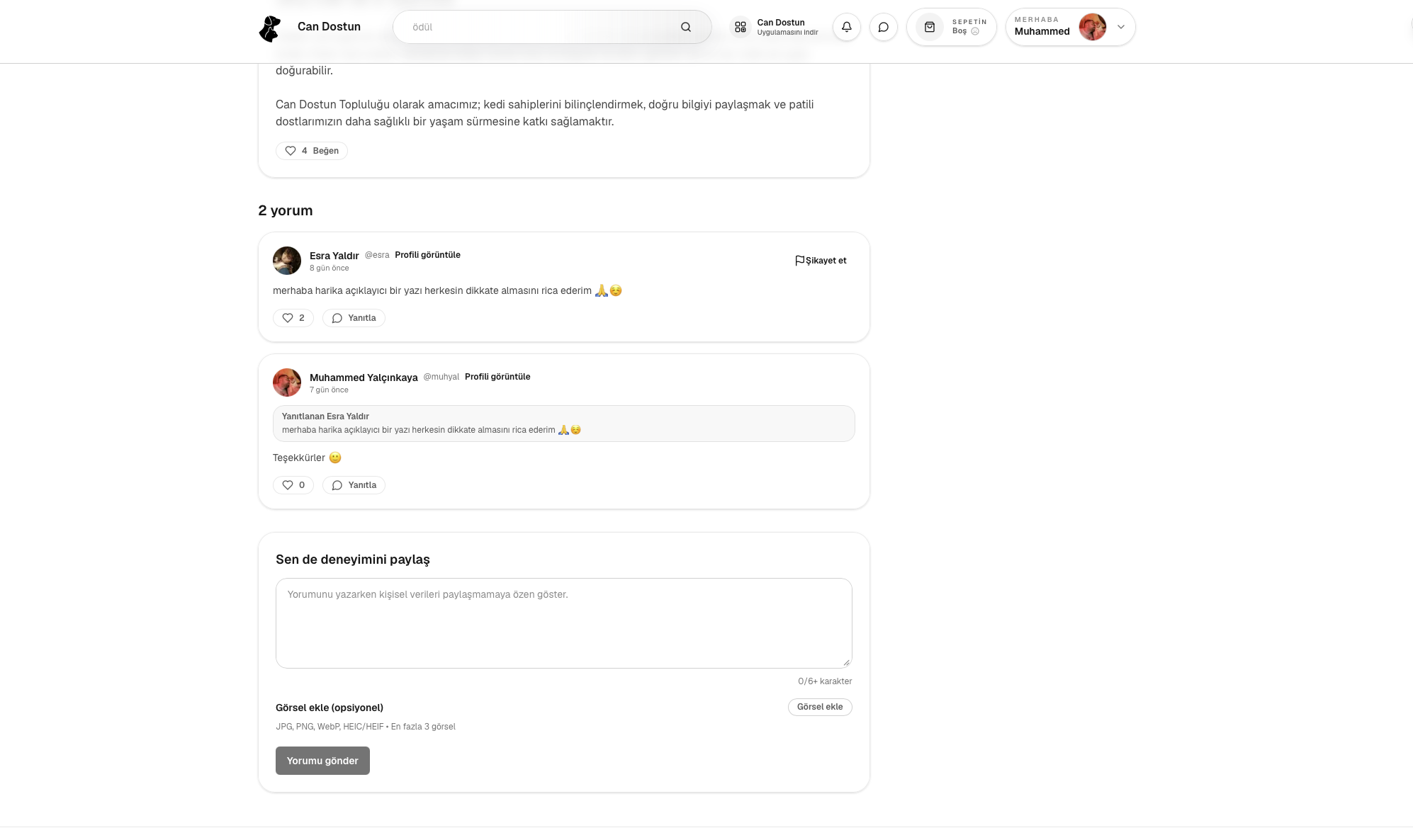 Can Dostun gallery image