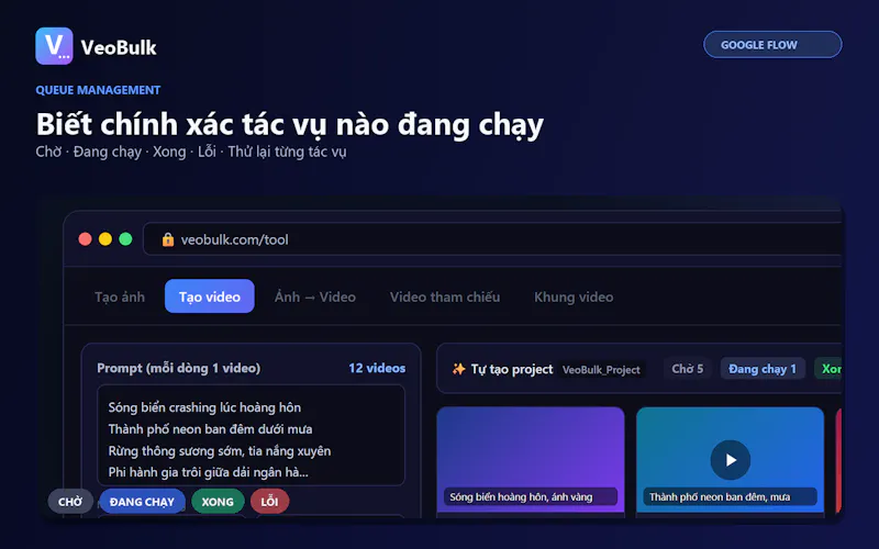 VeoBulk screenshot 5
