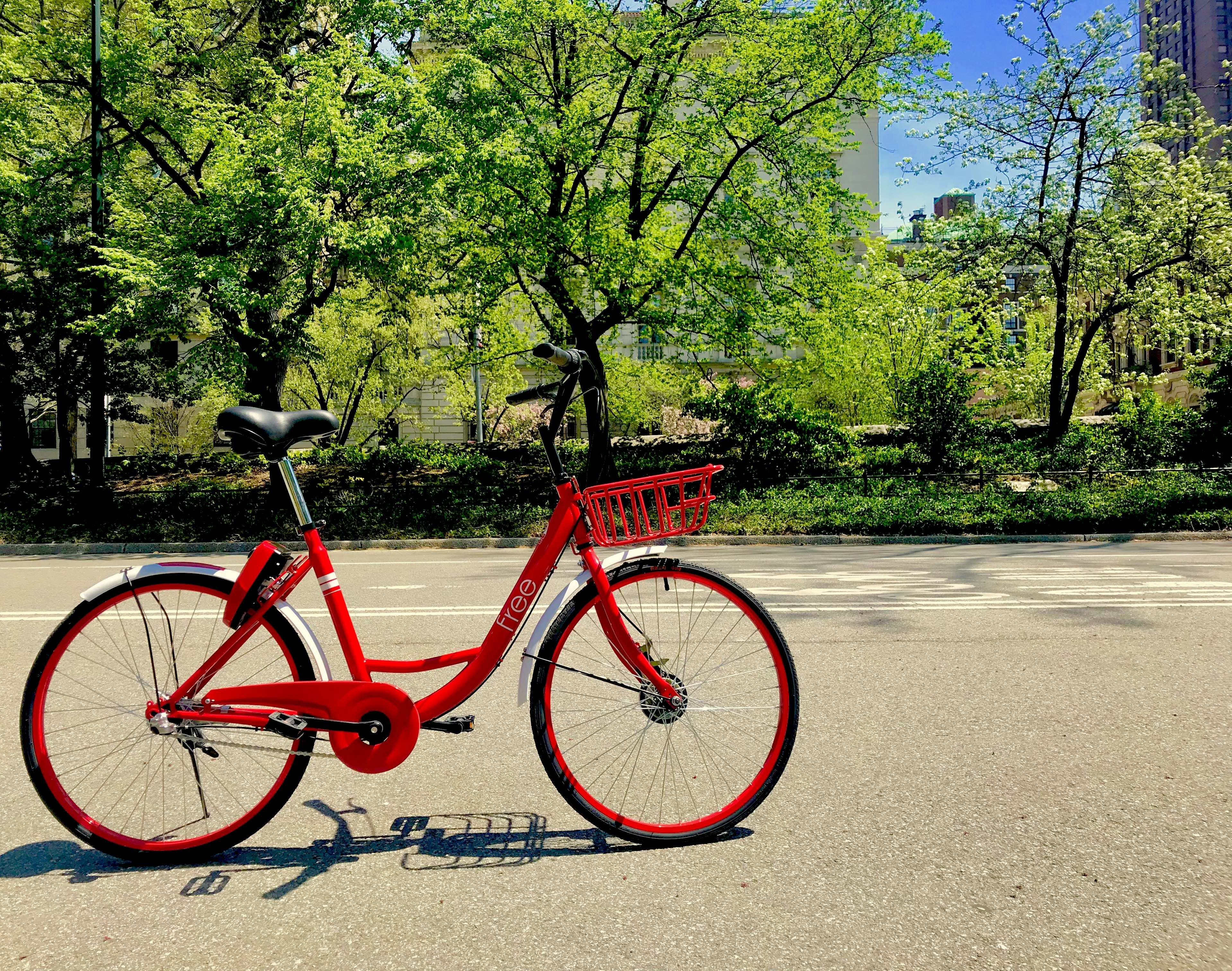 Free Bicycle gallery image