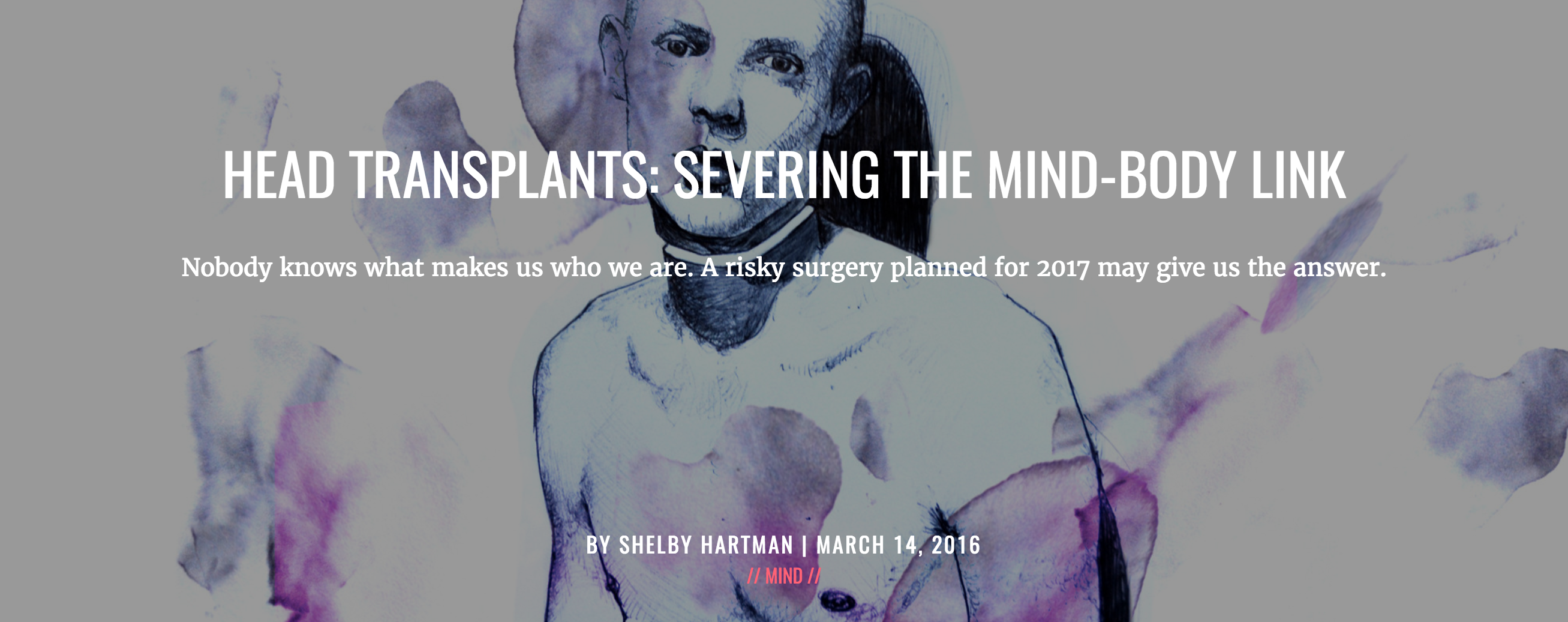 PrimeMind gallery image