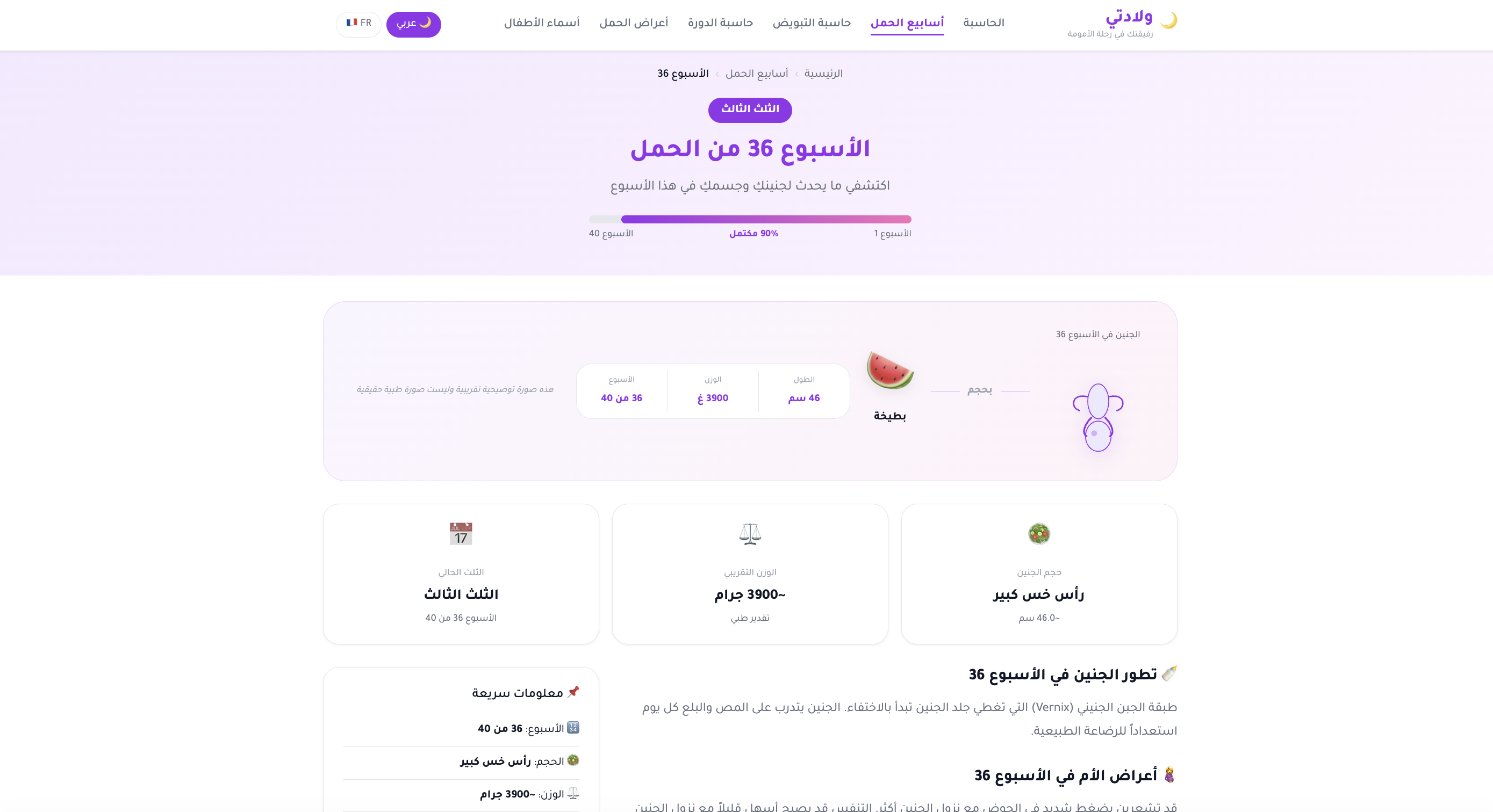 ولادتي - Wiladati gallery image