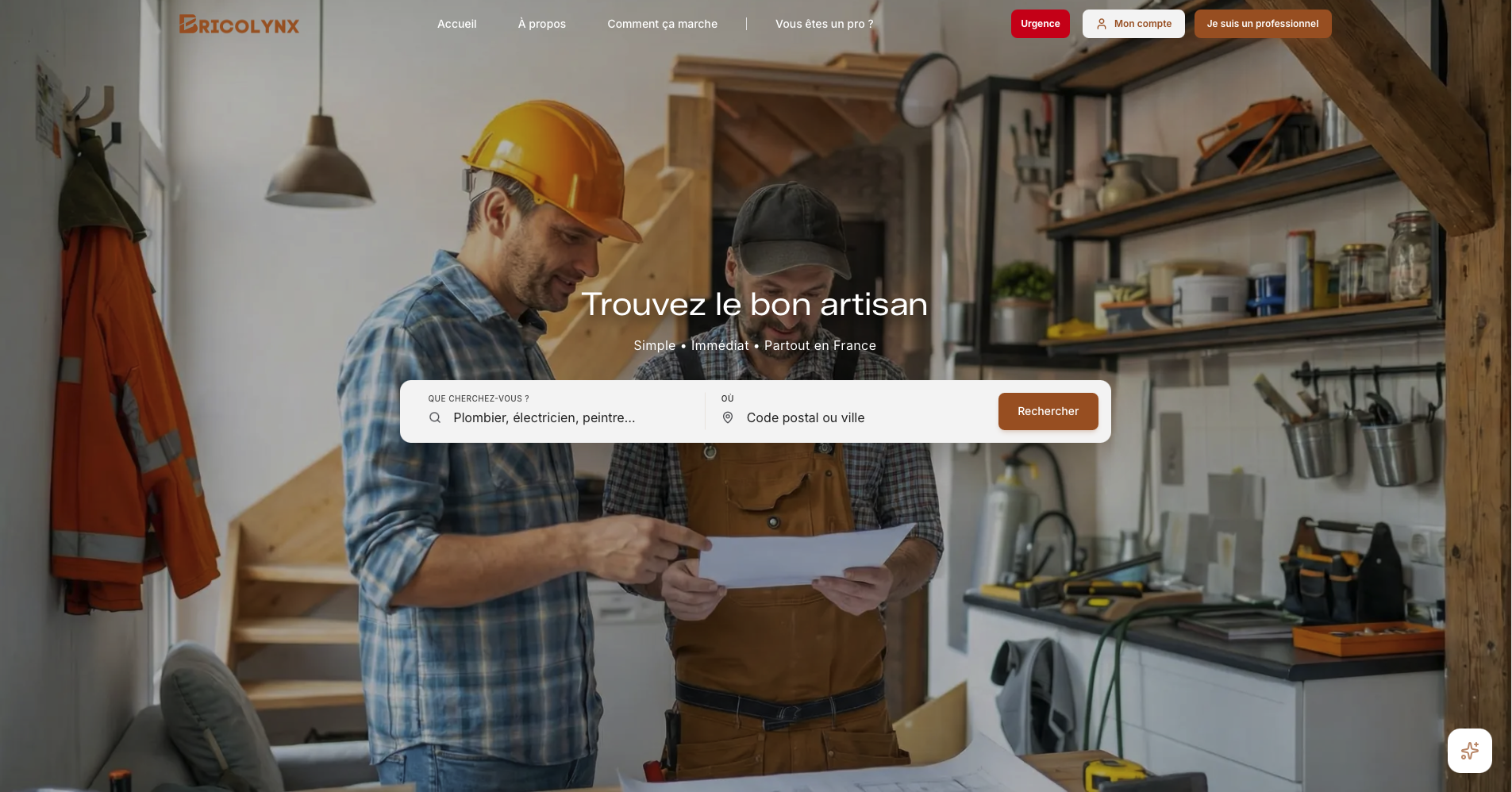Bricolynx - Main product screenshot demonstrating key features and user interface
