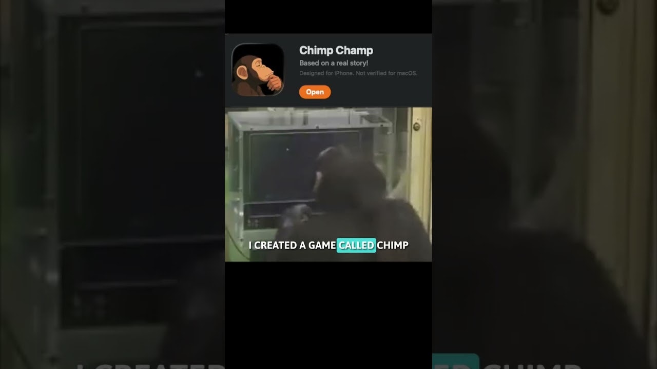 Chimp Champ! gallery image