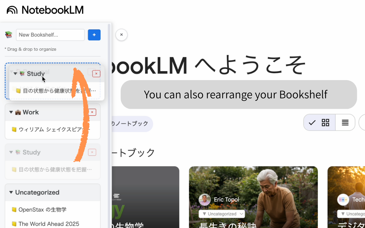 Bookshelf for NotebookLM - Screenshot 4 showing product features and functionality