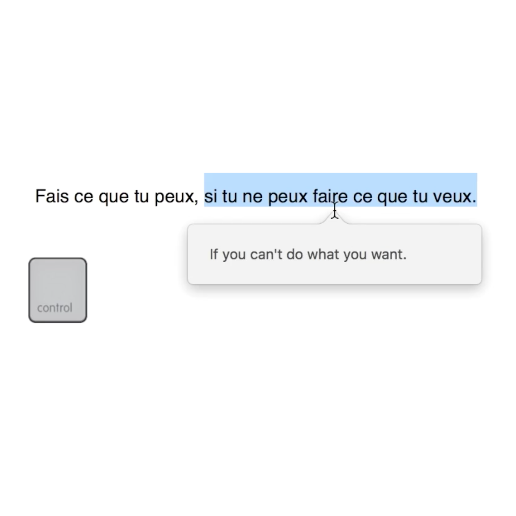 MacLinguist gallery image