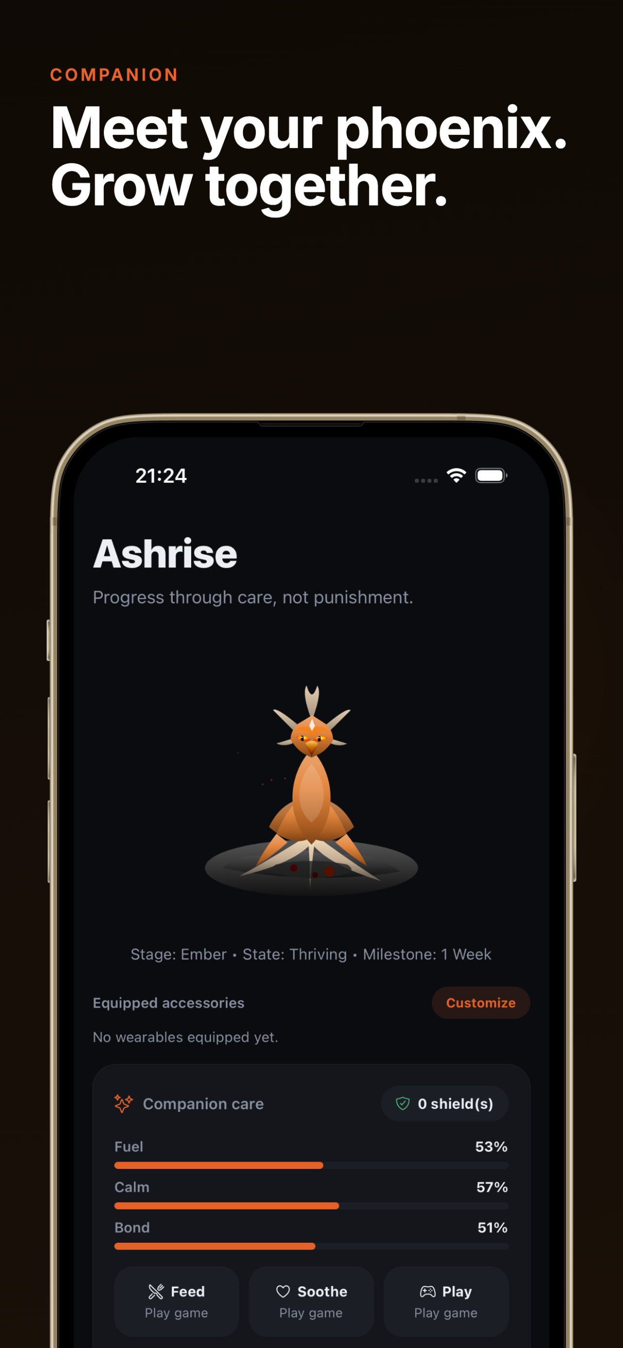Ashrise - Sobriety Tracker gallery image