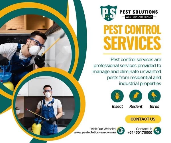 Pest Control Services gallery image