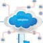 Salesforce Health Cloud Integration