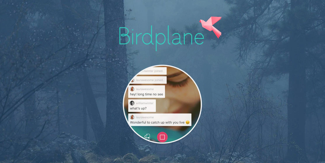 Birdplane