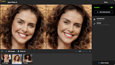 Open Photo AI gallery image