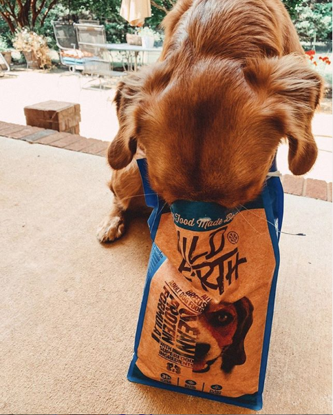 Wild Earth Clean Protein Dog Food gallery image