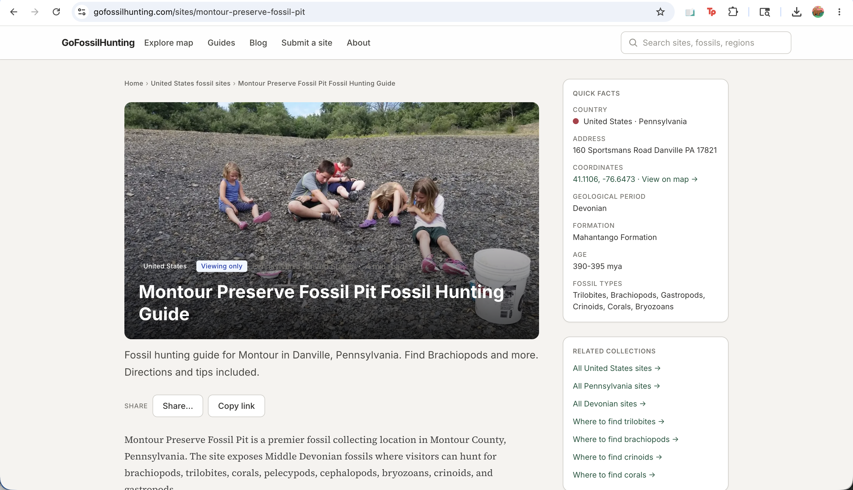 GoFossilHunting gallery image