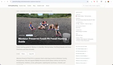 GoFossilHunting gallery image