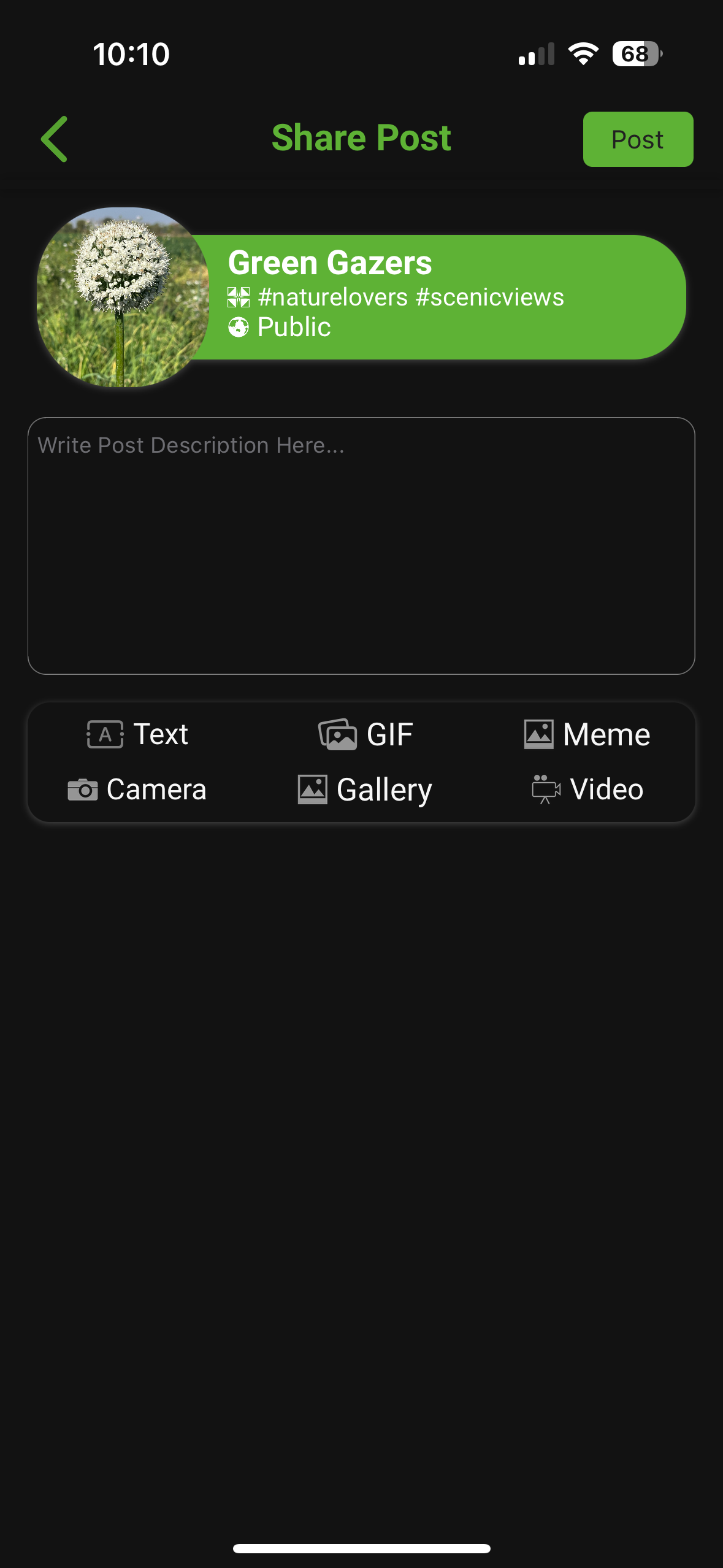 Yapat media 7