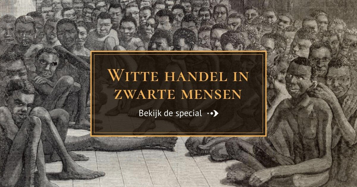 NOS Digital Online Special