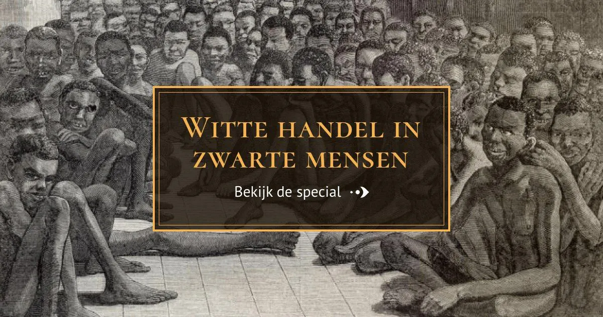 NOS Digital Online Special