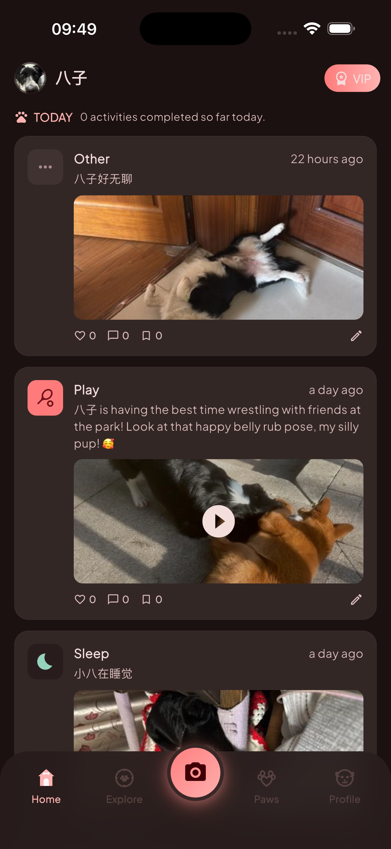 DogJoy gallery image