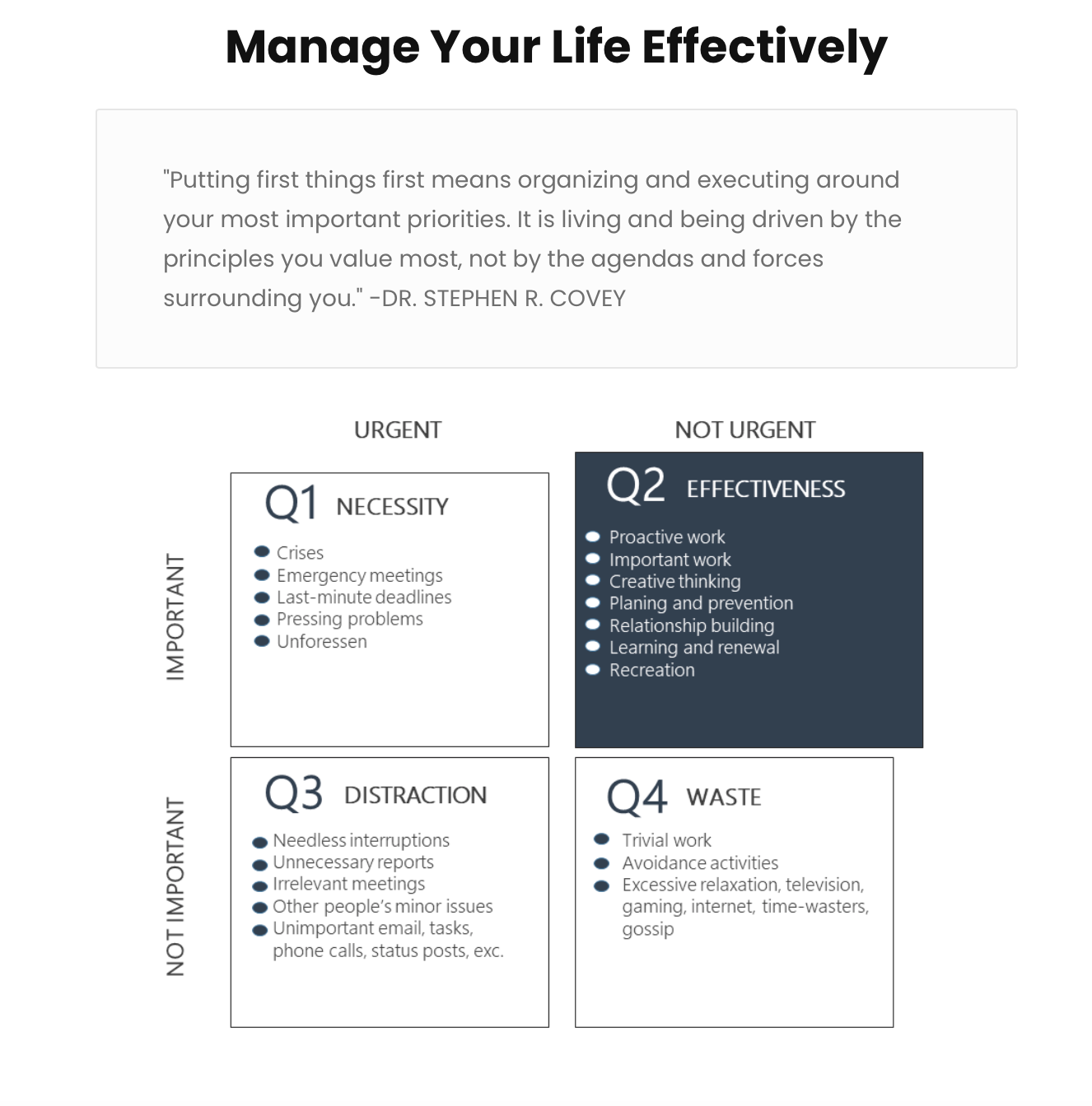 Soft Skills Newsletter gallery image