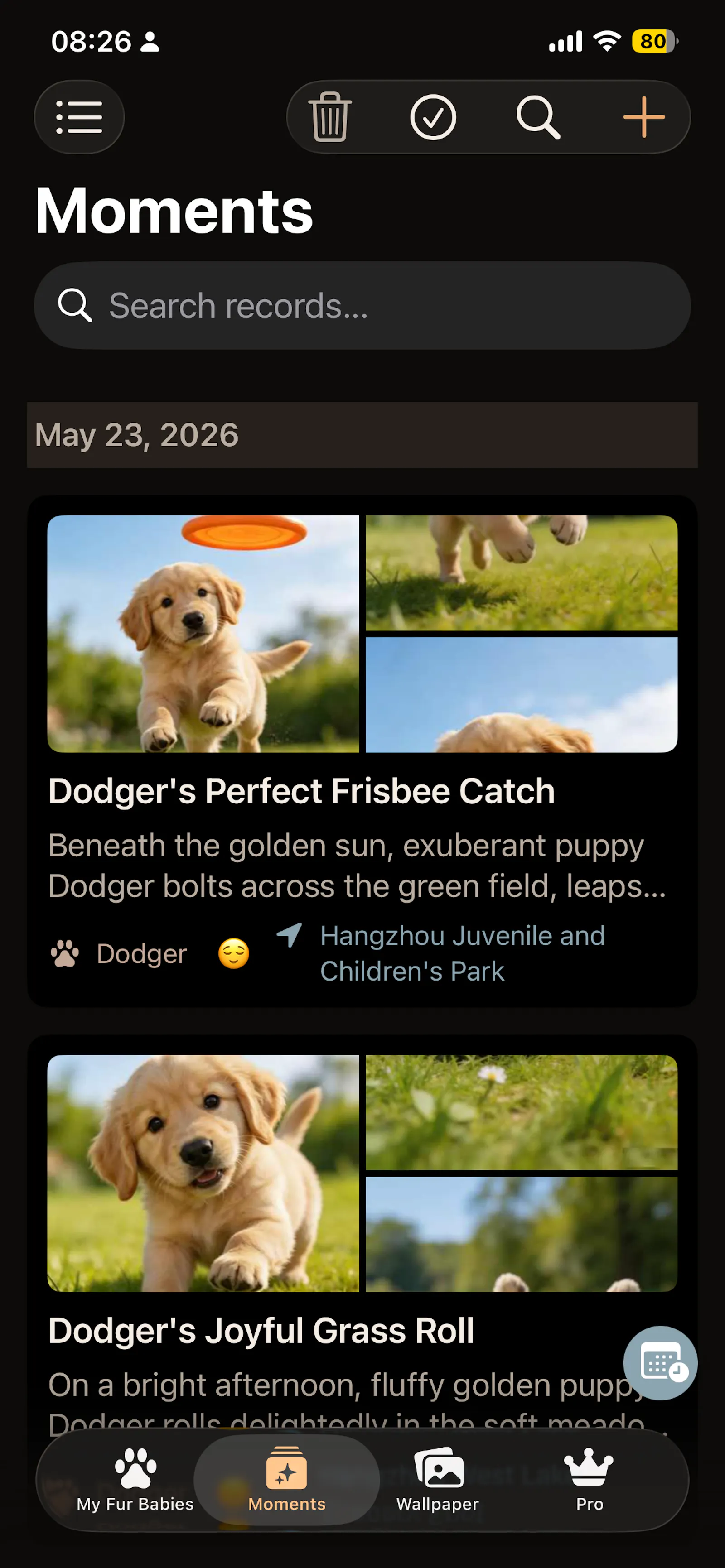 Fur Baby Companion — Pet Age Tracker screenshot 3