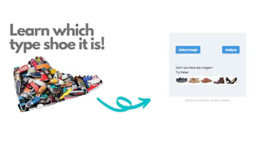 Shoe Classifier gallery image