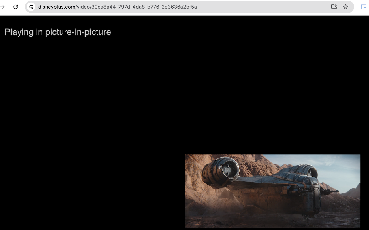 Picture-in-Picture With Volume Control gallery image