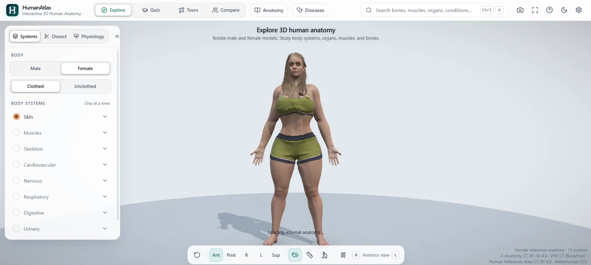 HumanAtlas gallery image