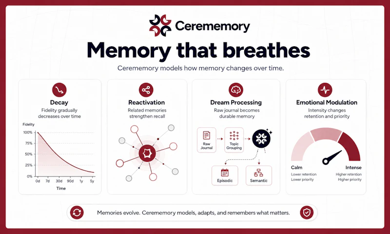 Cerememory screenshot 5