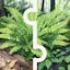 Cozy Puzzles: Flora