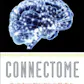 Connectome