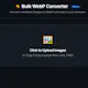 Bulk WebP Converter
