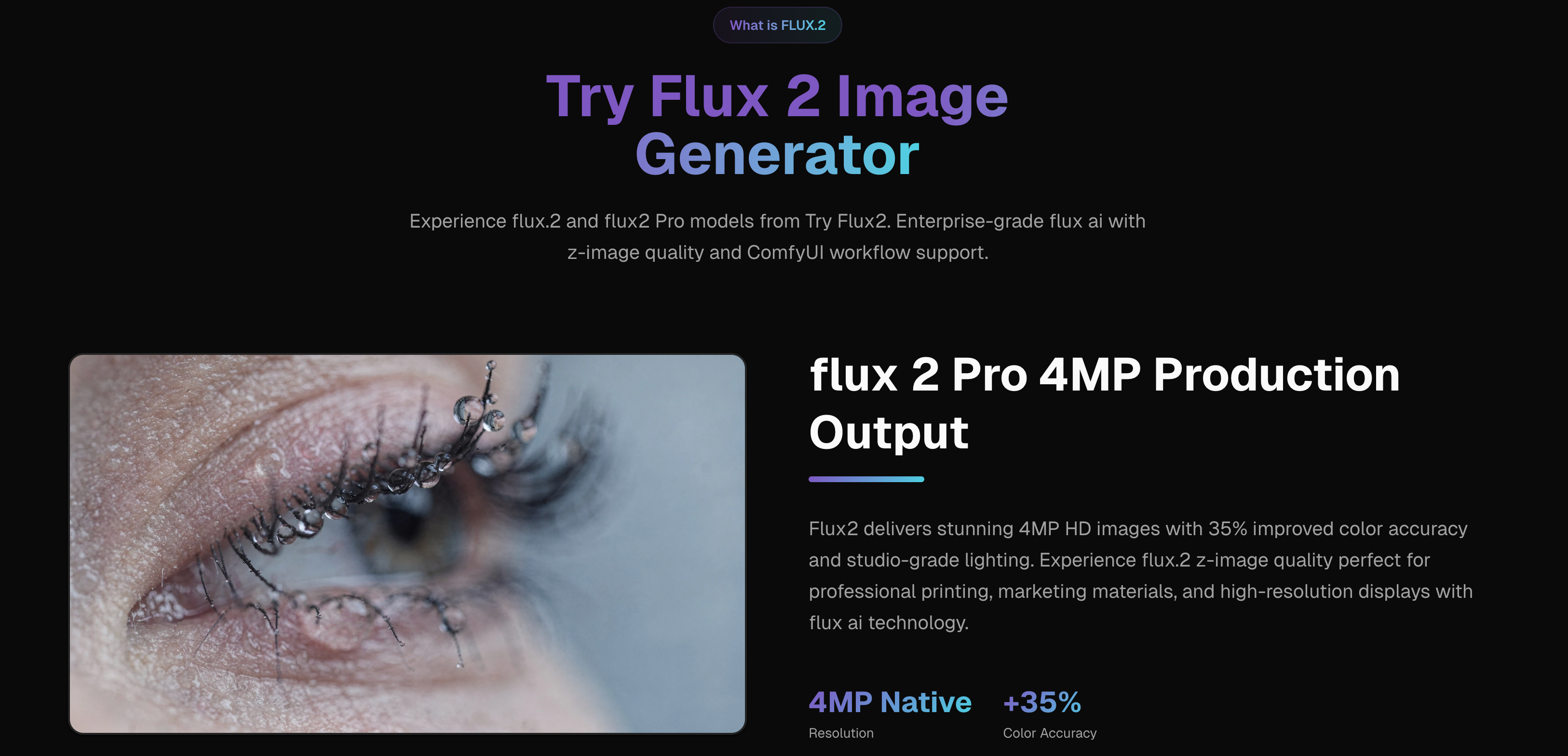 Try Flux2 gallery image