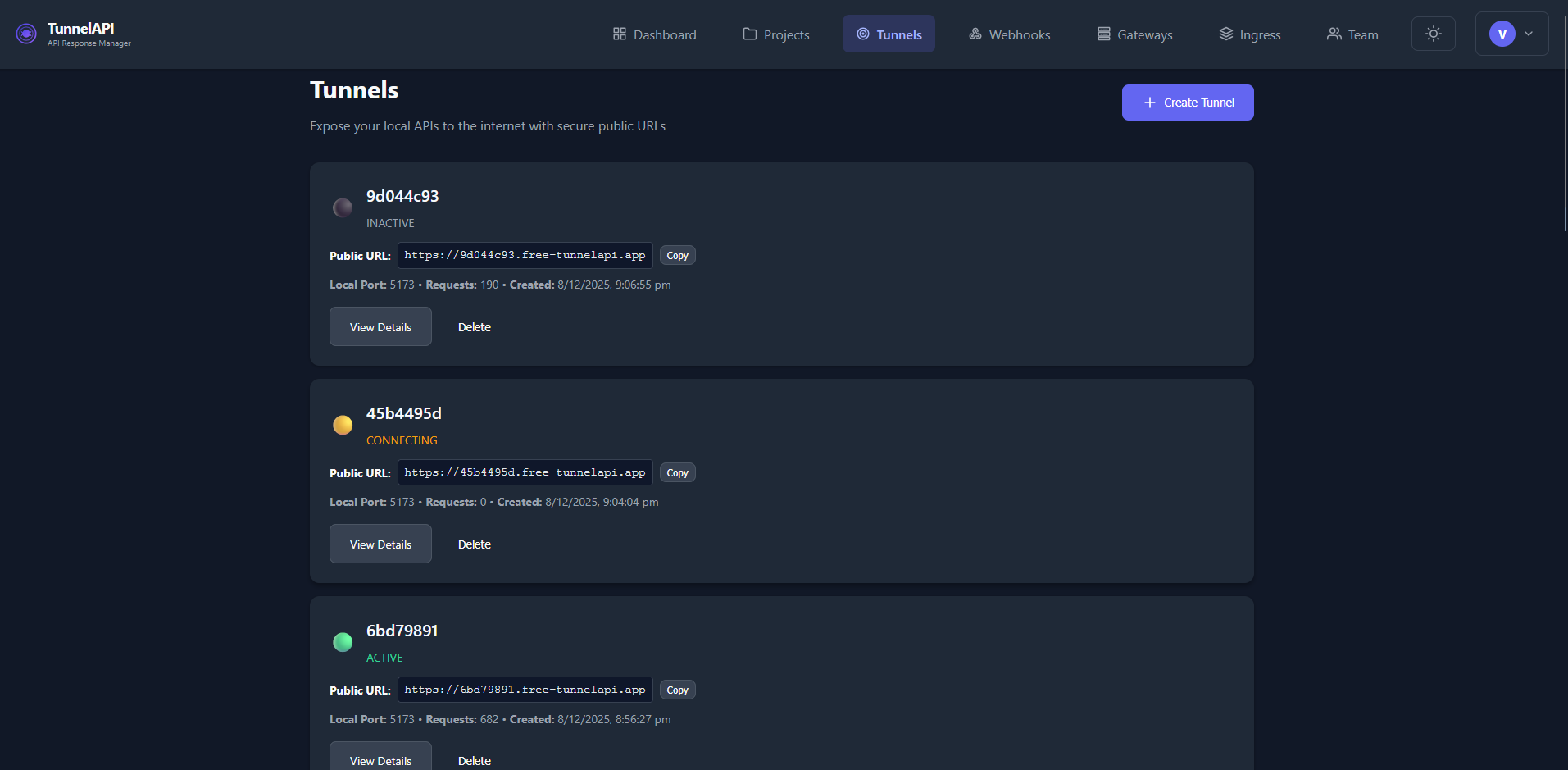 TunnelAPI - Screenshot 3 showing product features and functionality