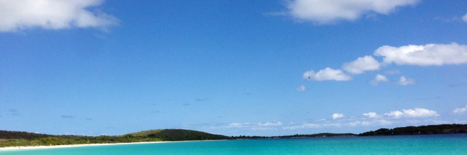 Jake Schlessinger cover