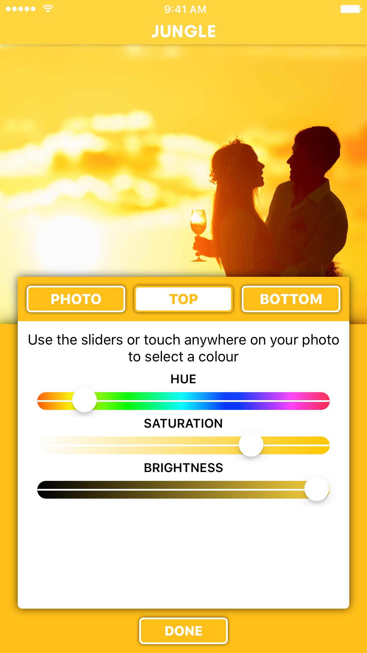 Jungle gallery image