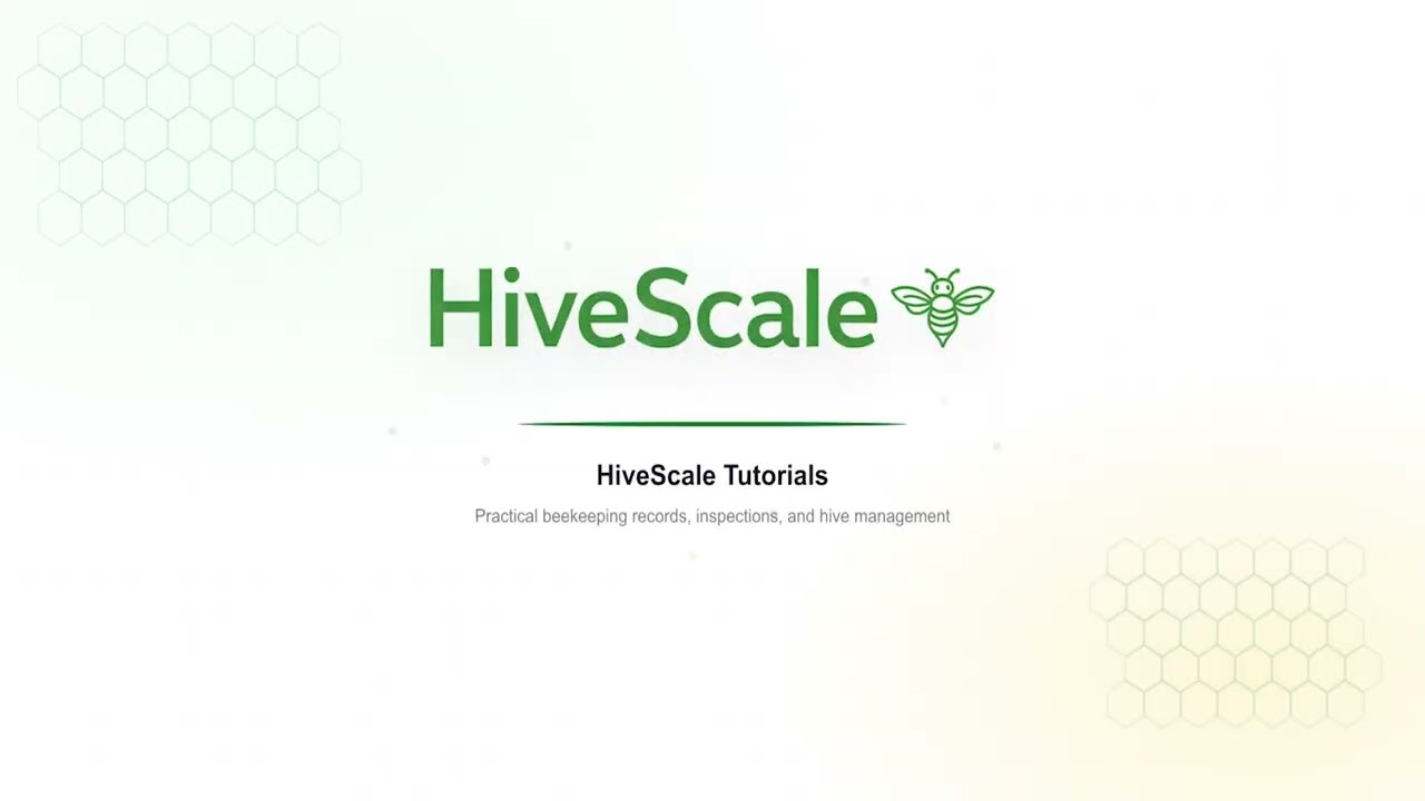 HiveScale — Free hive management gallery image